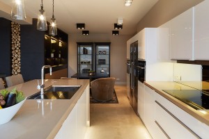 Contemporary Kitchen Design